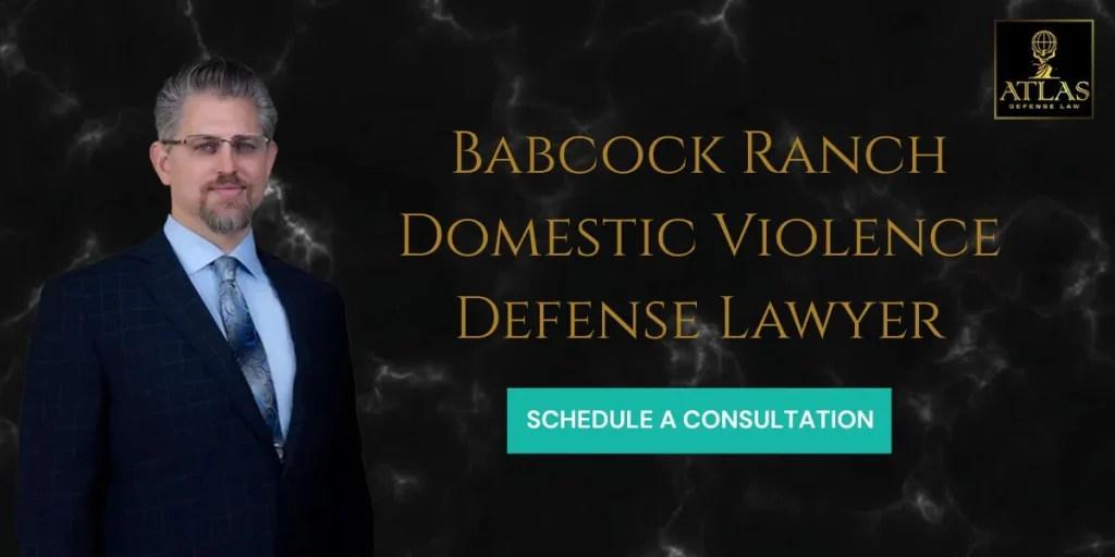 best babcock ranch domestic violence defense lawyer