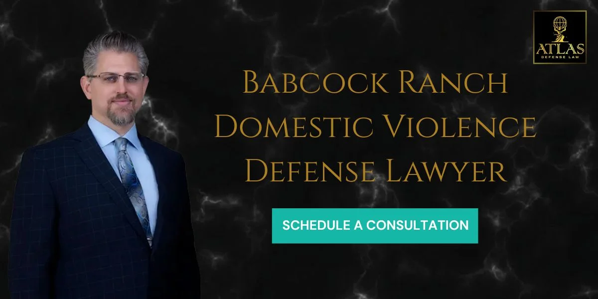 Babcock Ranch Domestic Violence Defense Lawyer-image